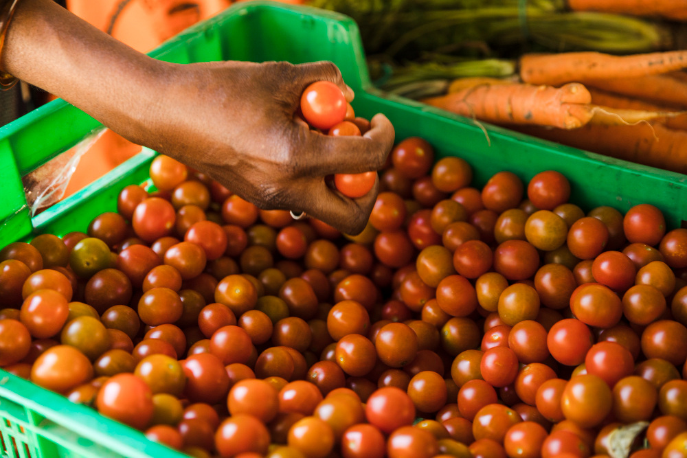 Otlaris Global Limited-From Farm to Port: How Otlaris Global Ensures Quality Agricu-image